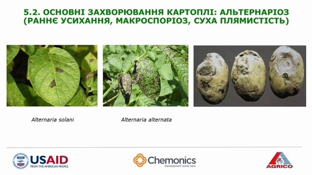 Основи технології вирощування картоплі смотреть онлайн