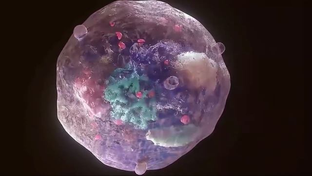 This is the First LIVING Robot and it's Unbelievable смотреть онлайн