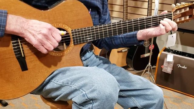 Taylor NS74CE Demo 1 смотреть онлайн