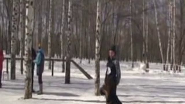ОКД 03.04.11 Завоеватель Вильгельм Моншер Вирсаль смотреть онлайн