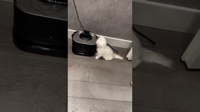 День с Тиффани?