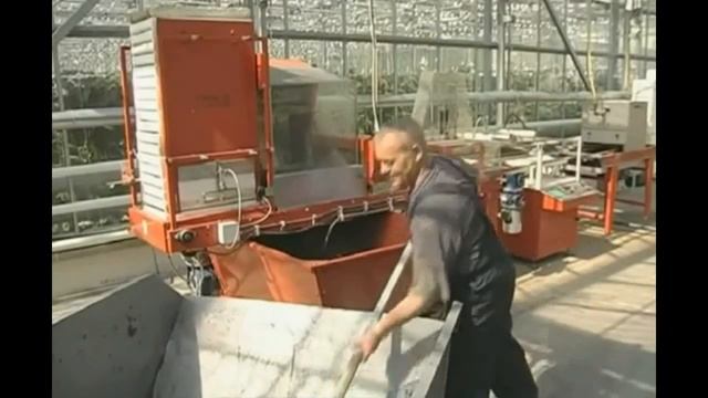 7 класс. Биология. Роль покрытосеменных растений в природе и жизни человека. Охрана растений смотреть онлайн