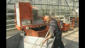 7 класс. Биология. Роль покрытосеменных растений в природе и жизни человека. Охрана растений