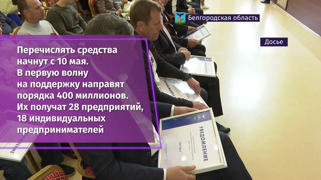 Более 30 предпринимателям вручили сертификаты на грантовые выплаты смотреть онлайн