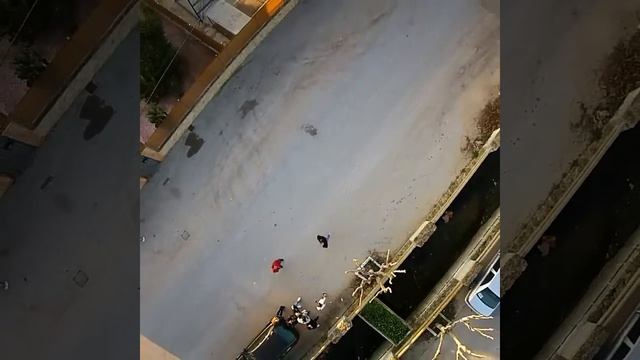 Sanlucar de barrameda(la jara) смотреть онлайн