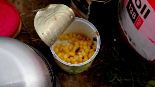 Ловля КАРПА летом. Супер поклёвки - отдай удочку! смотреть онлайн