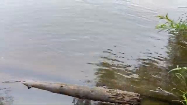 Продажа дачи(Зима) смотреть онлайн