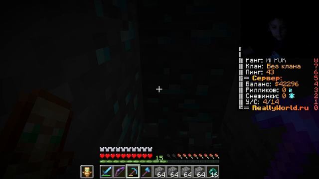 Играем на Mc.ReallyWorld.ru