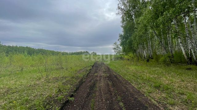 9194083 смотреть онлайн