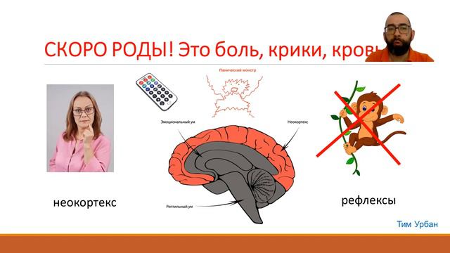 рефлекс родить у бер смотреть онлайн