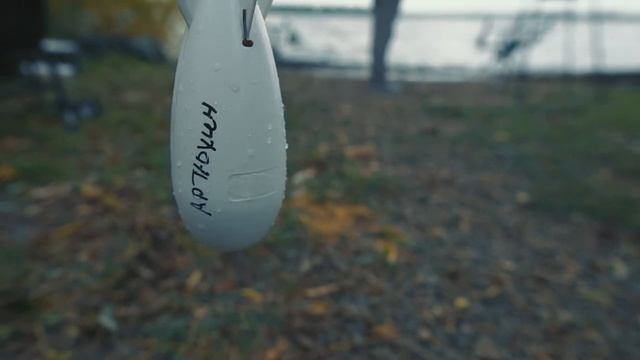 В поисках осеннего Голодяевского карпа! Ловля карпа осенью, особенности кормления и тактика ловли.