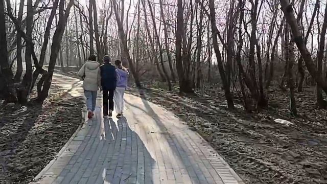 Велодорожка Зеленоградск - Светлогорск (почти достроена смотреть онлайн
