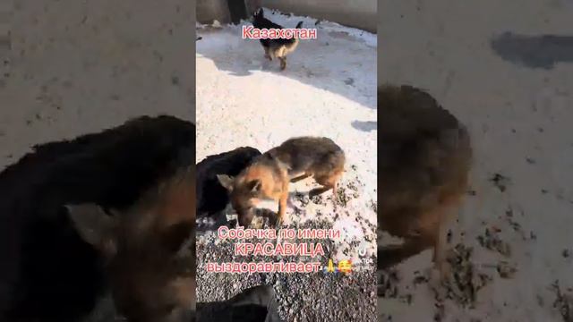 22 февраля 2024 г.