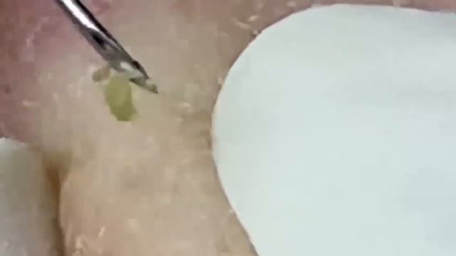 الوقت المناسب مع فيديوهات الغاز الطبيعي المسال #LNS10213 смотреть онлайн