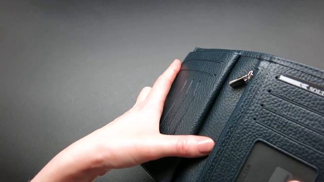 Мужское портмоне с паспортом SOLTAN 256 03.07