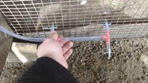 Ниппельные поилки и соль для кроликов