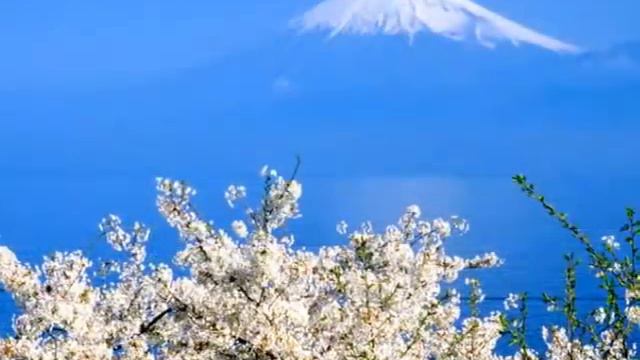 遥かなる郷愁Eterna Saudade(ギターソロ) смотреть онлайн