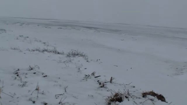 коса Долгая зимой смотреть онлайн