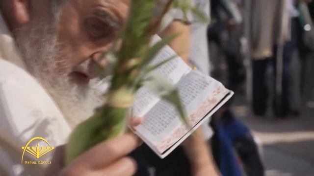 Минута вечной мудрости - праздник Суккот смотреть онлайн