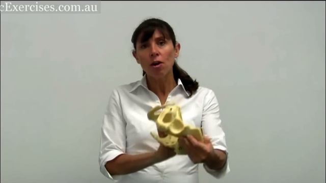 How To Kegel For Men - Physiotherapy Kegel Strength Exercises