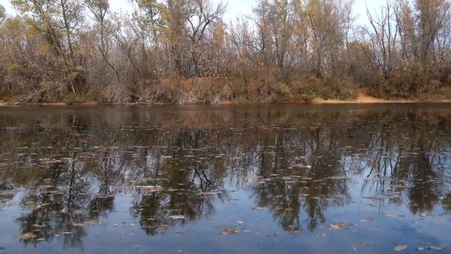 Гладь воды смотреть онлайн