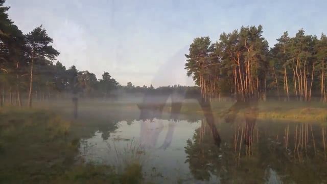 Девушка сбежала от жестокого жениха в глухую деревню, но вскоре он её нашел и решил сделать это смотреть онлайн