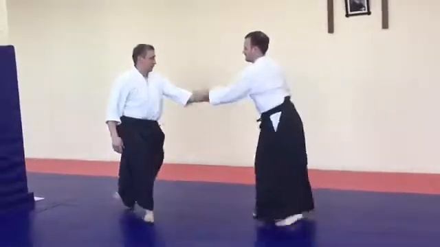 Резепов А.П. (п.Солнечный) ДВ айкидо конгресс 2020 смотреть онлайн