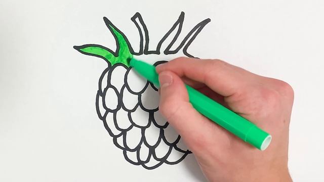 Как нарисовать Малину - Раскраска Малина Для детей - Рисунки Раскраски смотреть онлайн