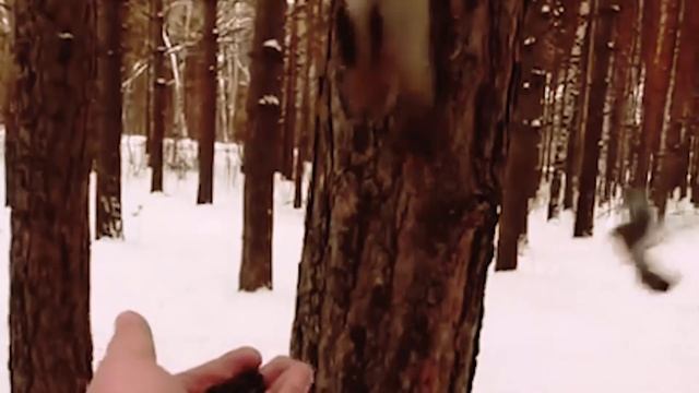санаторий зимой смотреть онлайн