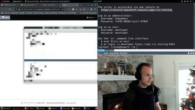Setup External Secret linked to Vault in OpenShift Local to keep your application passwords secure смотреть онлайн