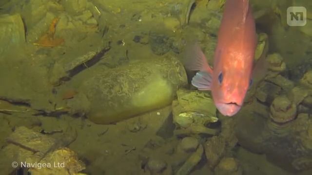 Найдена подлодка, затонувшая 103 года назад смотреть онлайн