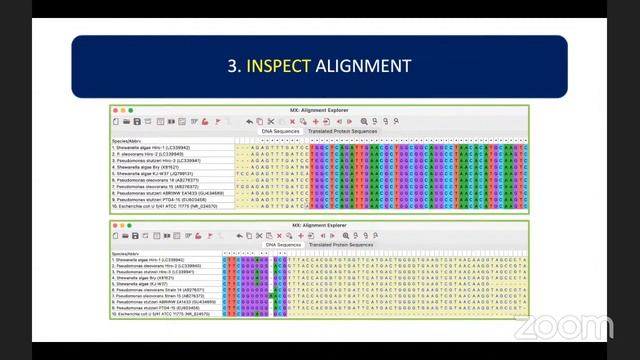 How To Analyze Phylogenetic Trees | Interpret Bootstrap Values and Sequence Divergence ???? смотреть онлайн