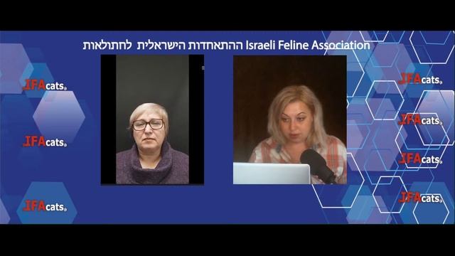 "Рассматриваем своих кошек глазами заводчика, как это делать", "Делимся опытом" выпуск 5 смотреть онлайн