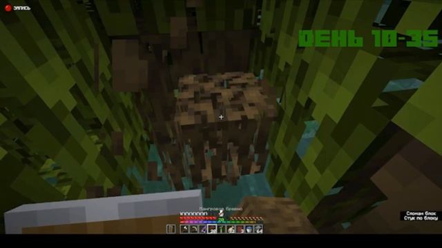 Minecraft выживание 100 дней на Мангровом болоте! смотреть онлайн