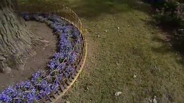 Красуйся, град Петров 4 сезон 12 серия Петергоф, зодчий Андрей Штакеншнейдер смотреть онлайн