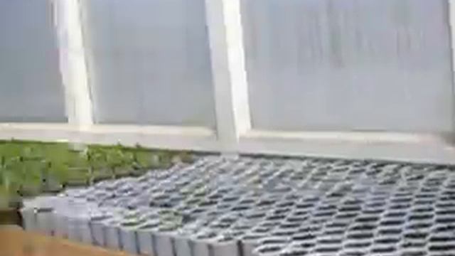 Рассада в теплице в середине марта 2015 смотреть онлайн