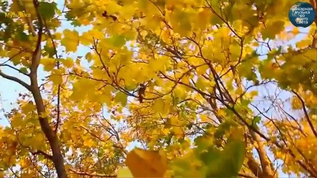 ♫ ЗОЛОТОЙ ОСЕНИ ШЕЛЕСТ !!!.mp4 смотреть онлайн
