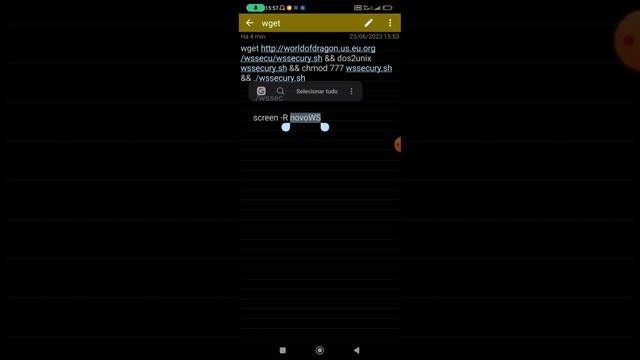 Como instalar o websocket   SECURITY usando o script do kirito смотреть онлайн