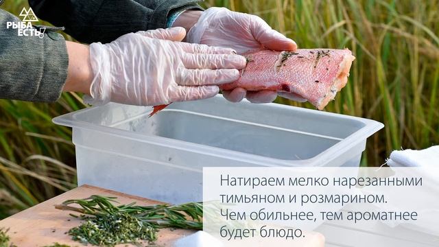 Наука о Животных и их Поведение