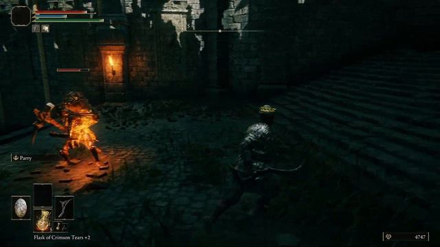 Wild Mouflon The Grafted | Elden Ring Item + Enemy Randomizer [3] смотреть онлайн