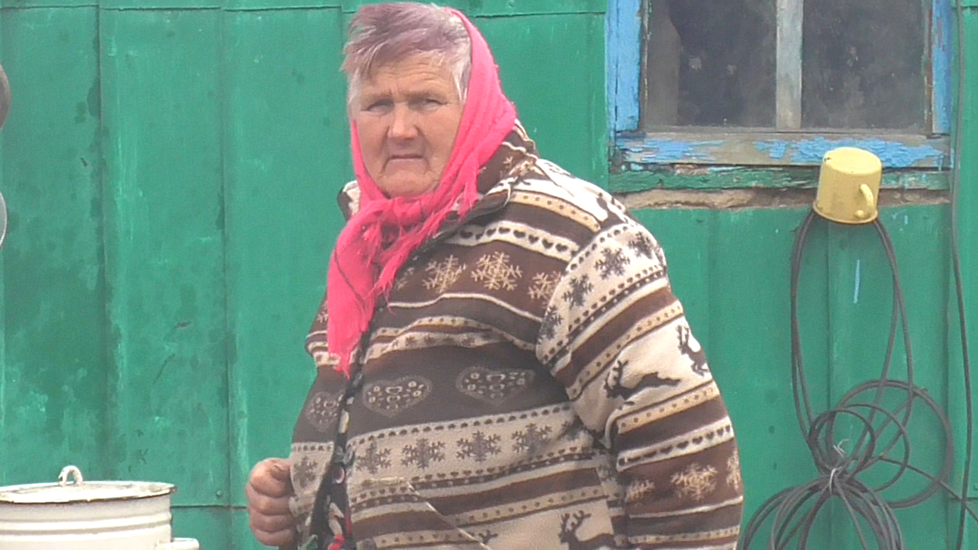 Приехал домой в деревню. Бабушка с фиолетовыми волосами смотреть онлайн