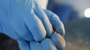 12 ЛАЙФХАКОВ ДЛЯ БАНДИТОВ !)