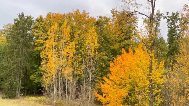 Молитва благодарности от Луизы Хей имеет большую силу. смотреть онлайн