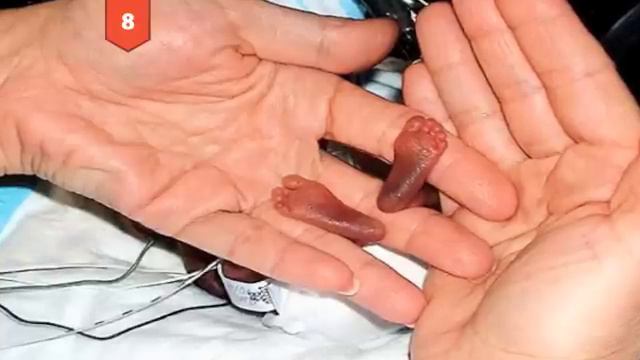 25 SMALLEST THINGS In The World смотреть онлайн