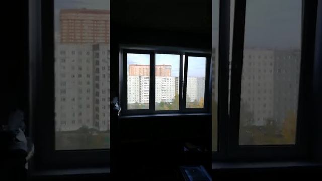 Купить 5 из 6 долей в 5-комнатной квартире 84 м2 в Красноярске - Солнечный | Обзор смотреть онлайн