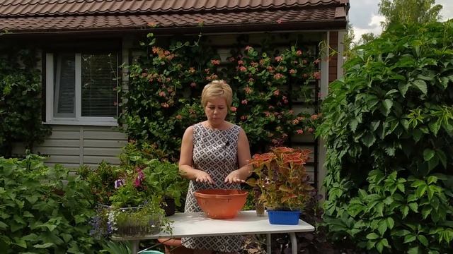 Это может сделать каждый ? Простой декор вазона своими руками / Садовый гид смотреть онлайн