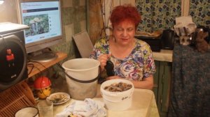 Горячее соление сыроежек. Подробный рассказ.