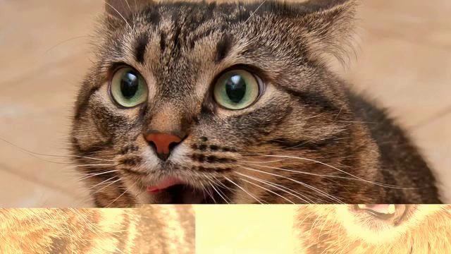 Музыка для салонов красоты. Просто круто! Рекомендую... смотреть онлайн