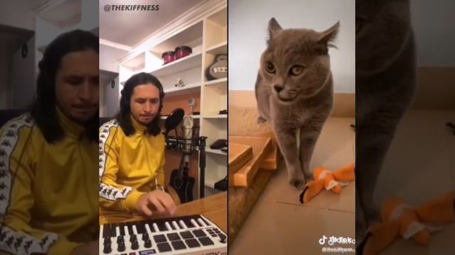кот поет под музыку Thekiffness 🎶 | прикол 2021 | ТикТок