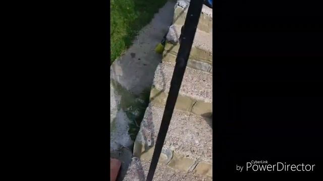 Водяний Пістолет смотреть онлайн